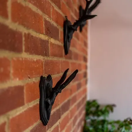 Sudeckie Nad Zalewem Ii شقة Sosnówka