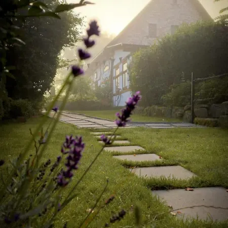 Sudeckie Nad Zalewem Ii *